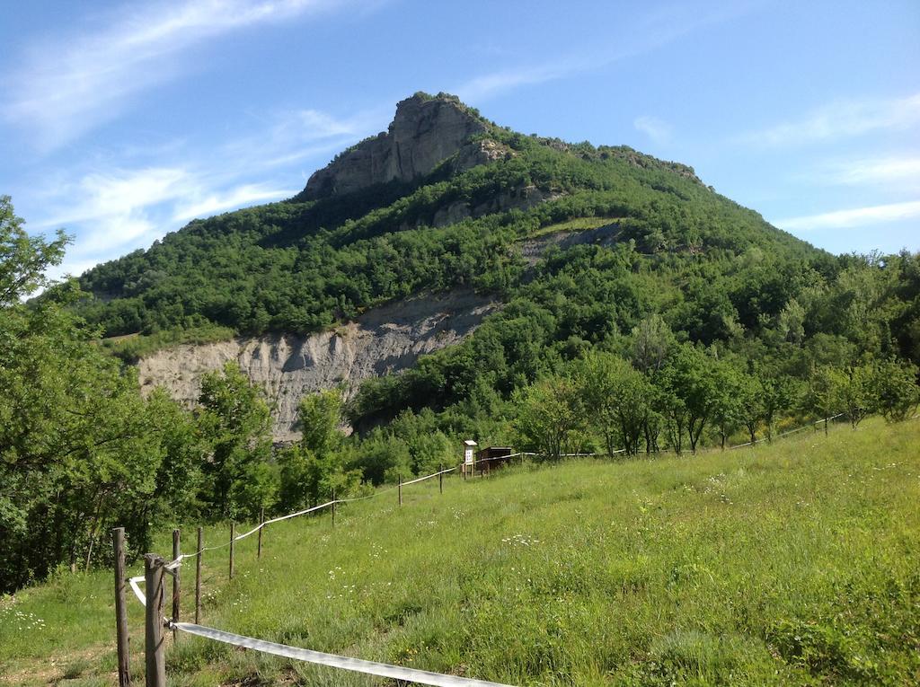 Agriturismo Ca' Di Mazza Monzuno Ngoại thất bức ảnh
