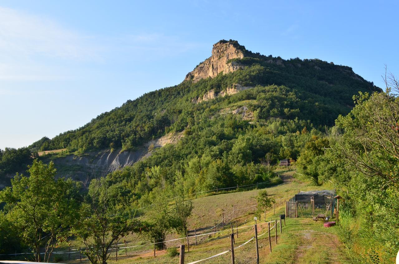 Agriturismo Ca' Di Mazza Monzuno Ngoại thất bức ảnh